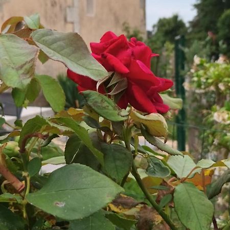 Gite Aux Vieux Bois Lunas  Ngoại thất bức ảnh
